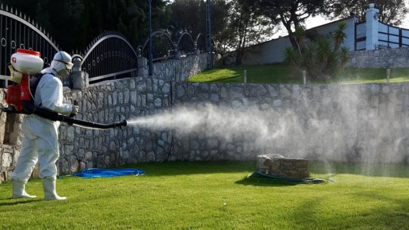 Şişli’de Bahçe ve Açık Alanlarda Profesyonel Haşere Yönetimi