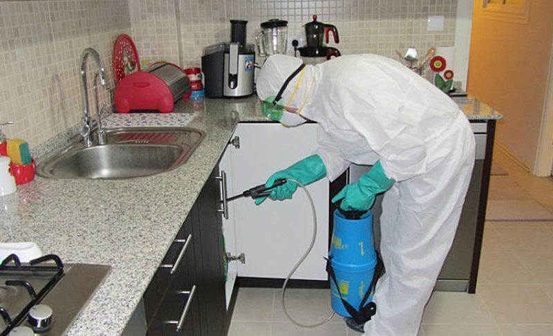 Şişli’de Ev ve İş Yerleri İçin Profesyonel Böcek ve Haşere Kontrolü