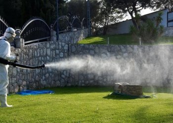 Şişli’de Bahçe ve Açık Alanlarda Profesyonel Haşere Yönetimi