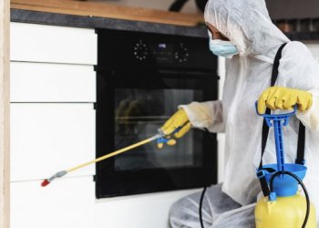 Şişli’de Otel, Cafe ve Restaurantlarda Profesyonel Haşere Kontrolü