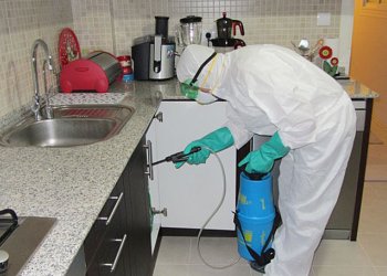 Şişli’de Ev ve İş Yerleri İçin Profesyonel Böcek ve Haşere Kontrolü